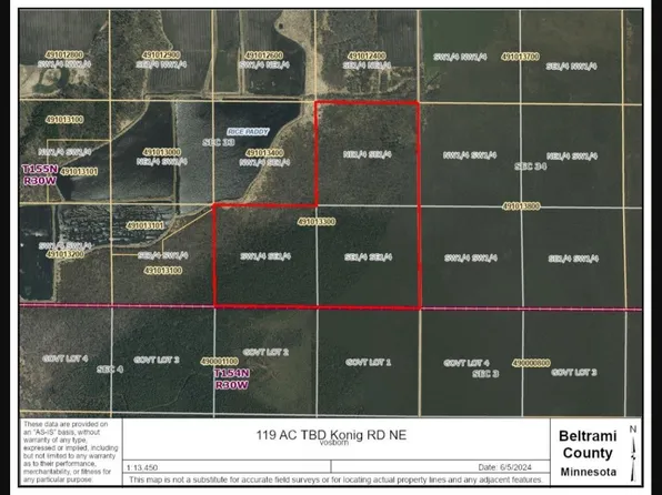 Konig Rd NE, Waskish, MN 56685
