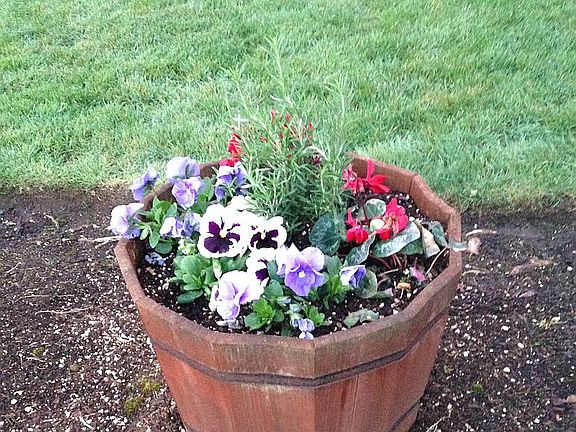 Frontyard, Landscaped