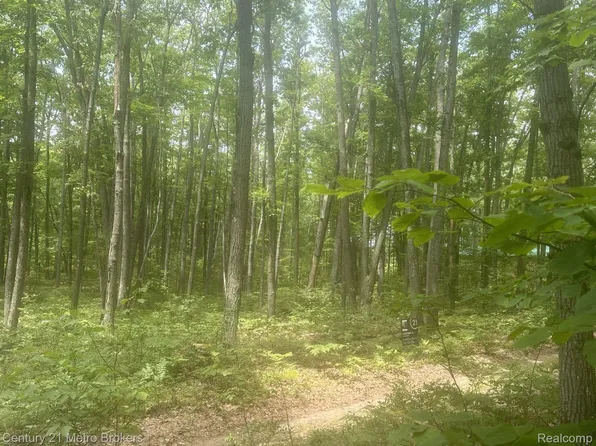 0 Garfield Blvd, Roscommon, MI 48653