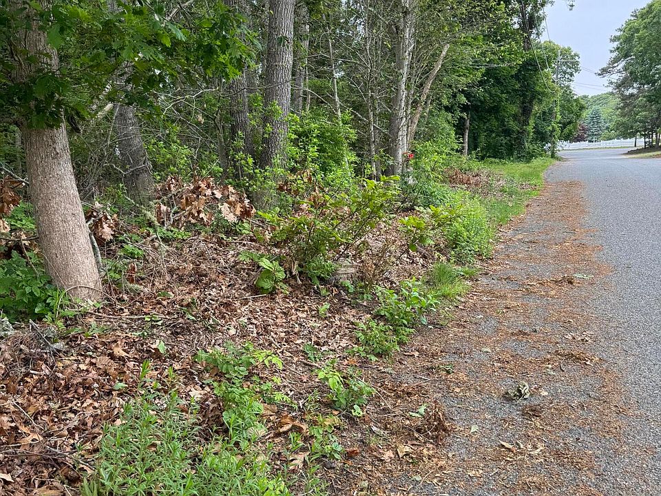 2nd image of 11 Lane Road