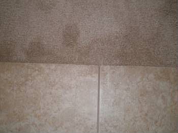3rd image of 35661 W Costa Blanca Dr