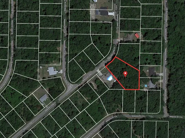 0 Sequoia Loop Court, Ocklawaha, FL 32179