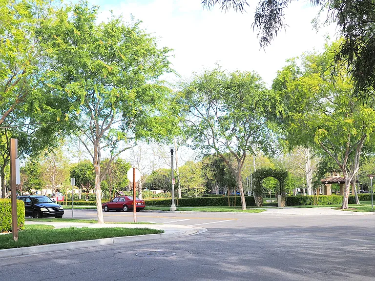 The Common Community Park is across the street.