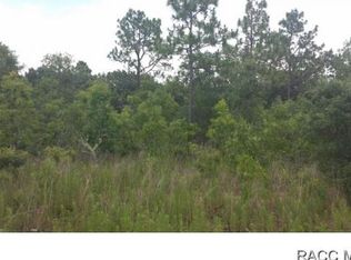 2507 E Steven St, Inverness, FL 34453