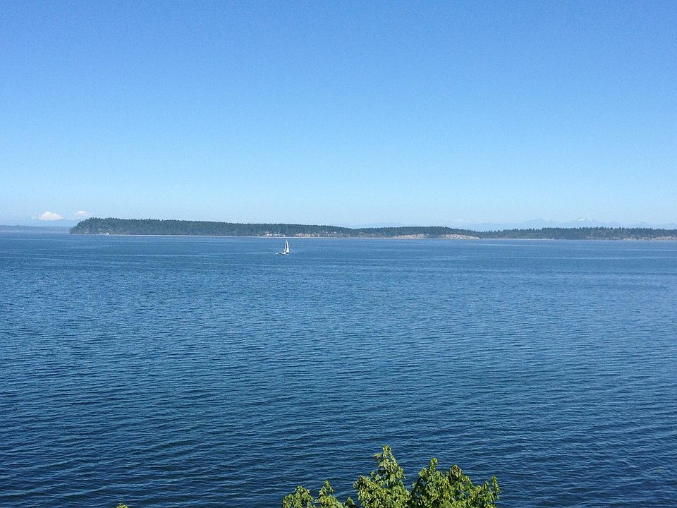 1/3rd of view from living room