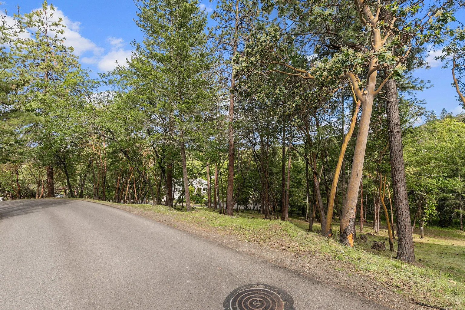 425 Coachman Dr photo 1