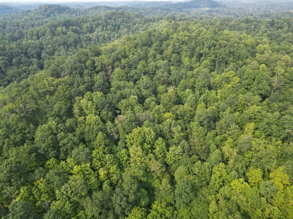 0 Green Crk, Walton, WV 25286