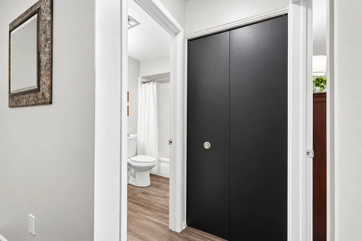1 bed, $3,500 — Photo 3