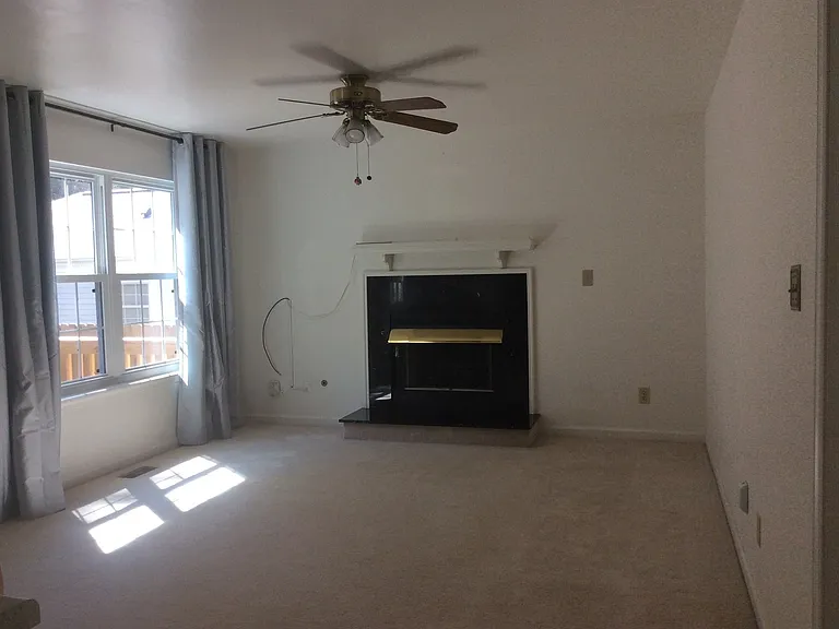 3913 Vass Ln — Photo 15