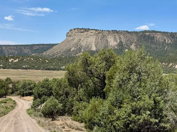 Cedar Ln, Tierra Amarilla, NM 87575