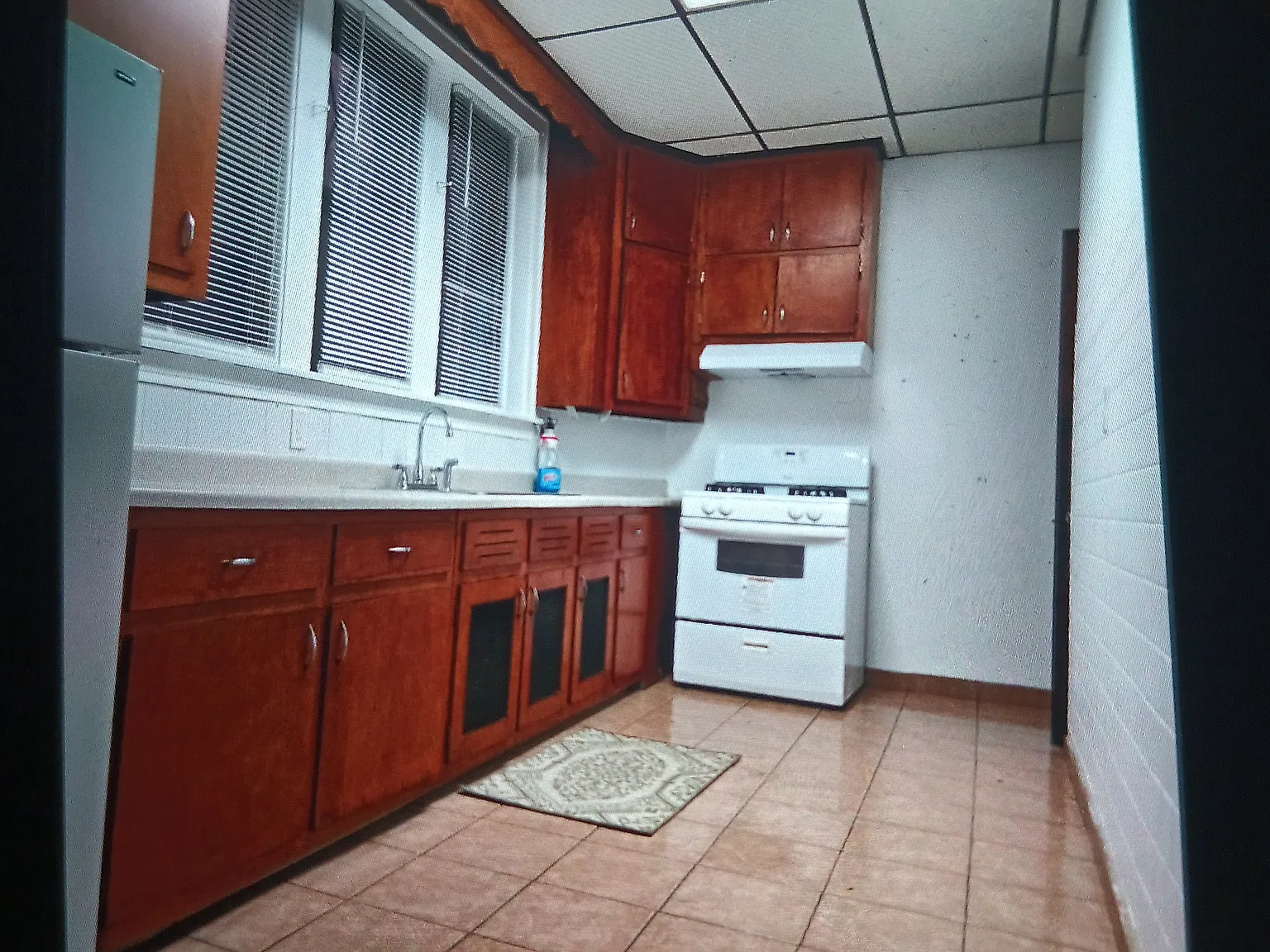 1 bed, 800 sqft, $1,175 — Photo 3