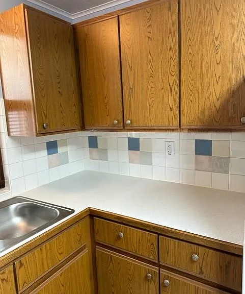 Kitchen Cabinets and Sink