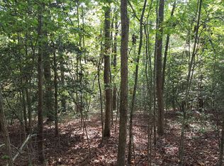 36&37 Stuart Highlands, Mineral Bluff, GA 30559