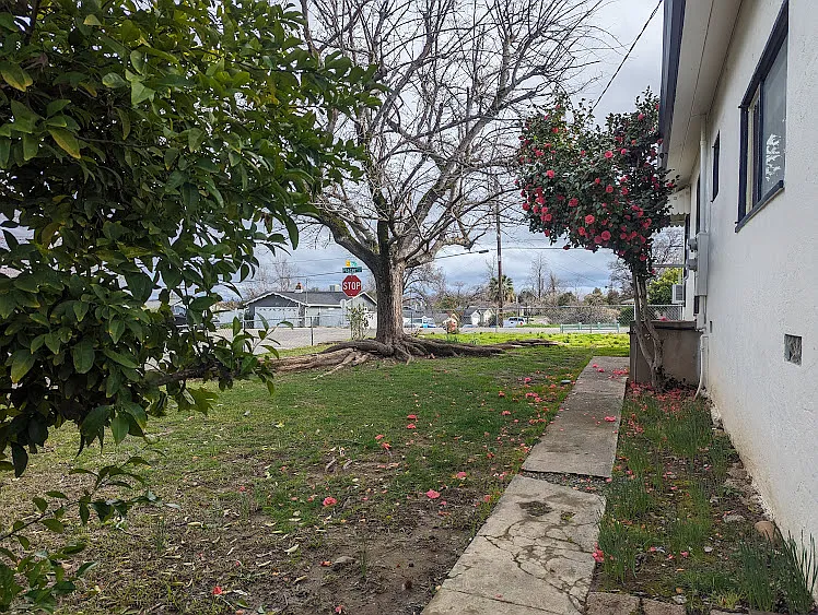 2900 Placer St #A — Photo 2