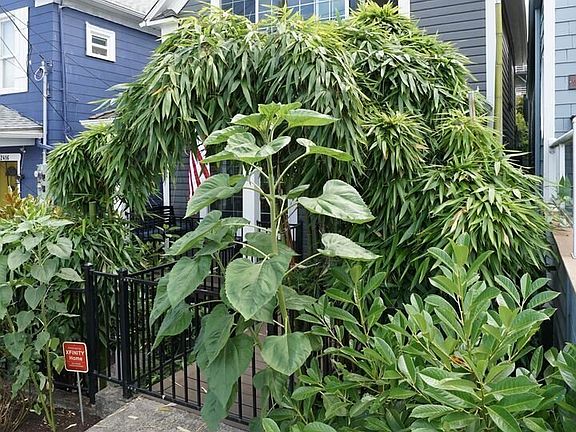 3rd image of 2418 N 31st St