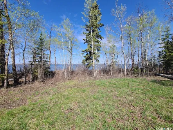 820 Wild Rose LANE, Mervin Rm No.499, SK S0M 1J0
