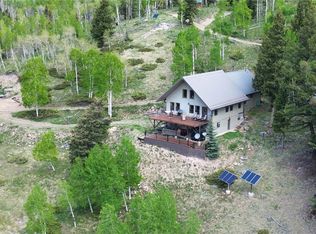 1113 Spring St, Jasper, CO 81132