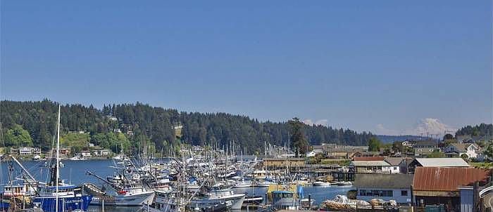 Mt Rainier/Bay views