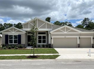 27058 Sora Blvd, Wesley Chapel, FL 33544