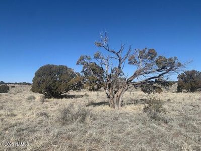 790 S Wyandotte Rd, Williams, AZ, 86046