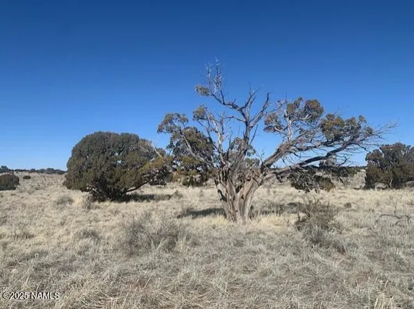 790 S Wyandotte Rd, Williams, AZ 86046