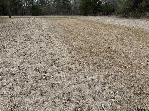 607 Wichita St, Bullard, TX 75757