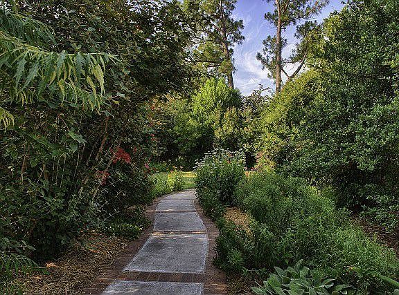 Beautiful mature landscaping