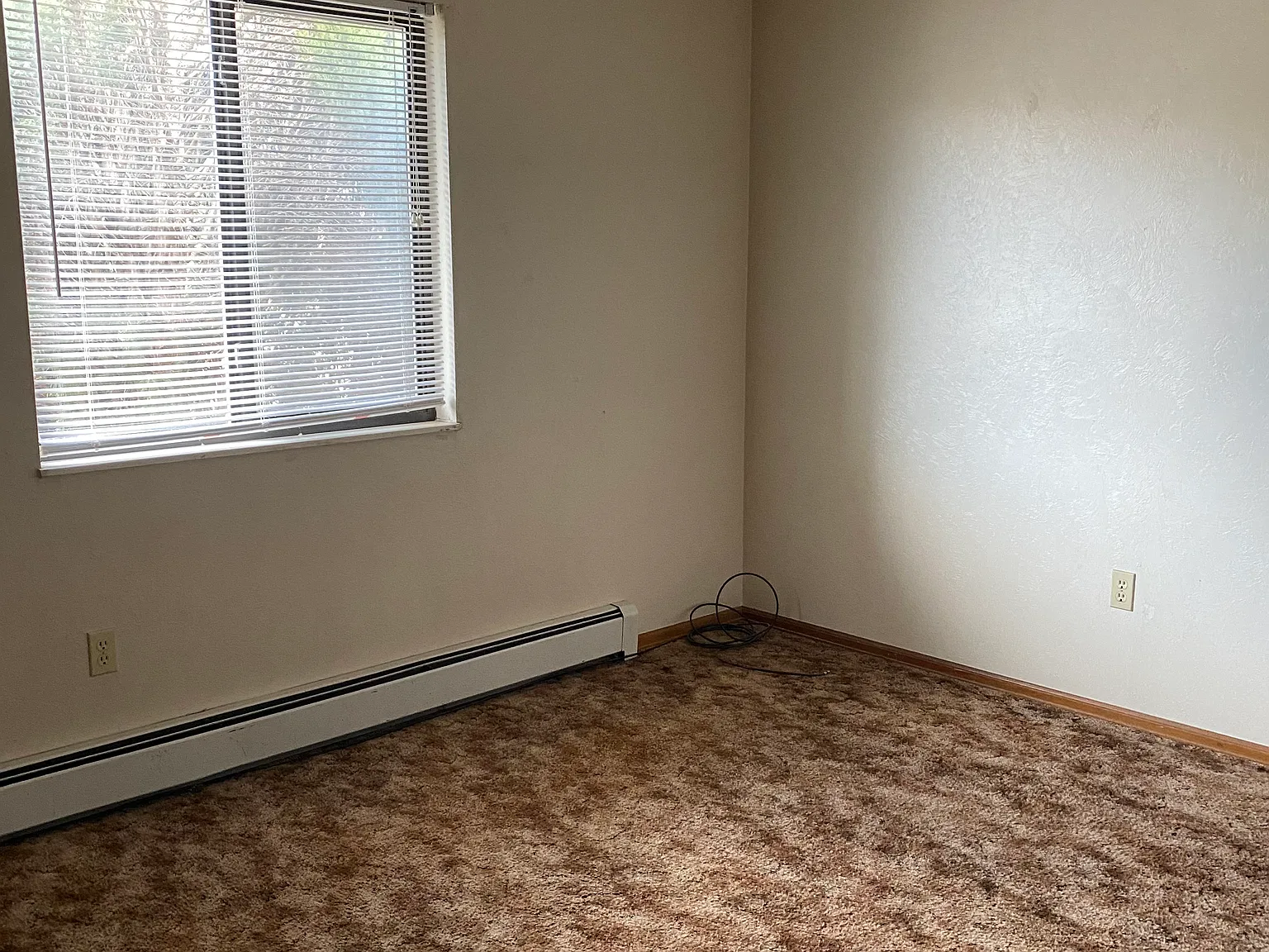 2 bed, 950 sqft, $1,000 — Photo 4