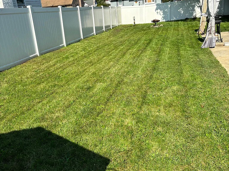 230 Laurel Ave — Photo 31