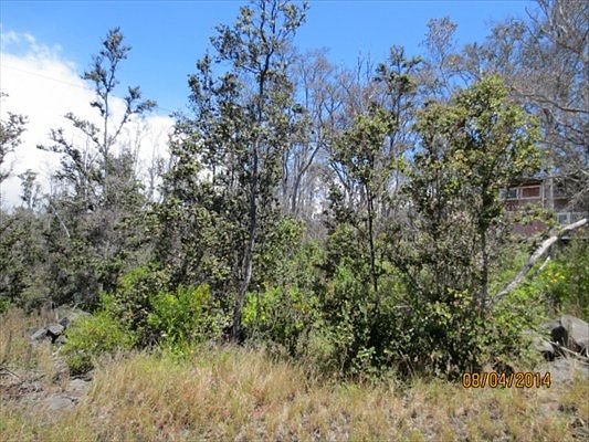 1st image of Lei Pkwy Lot 35