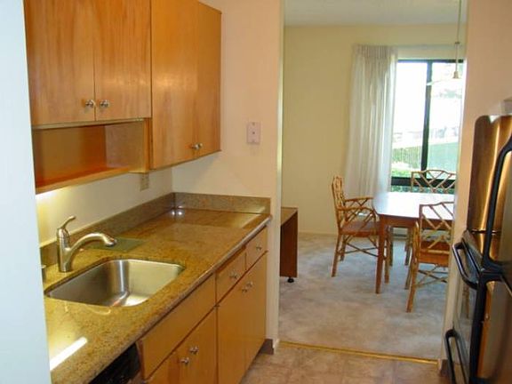 Granite in the Kitchen