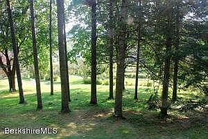 Westerly slightly wooded area