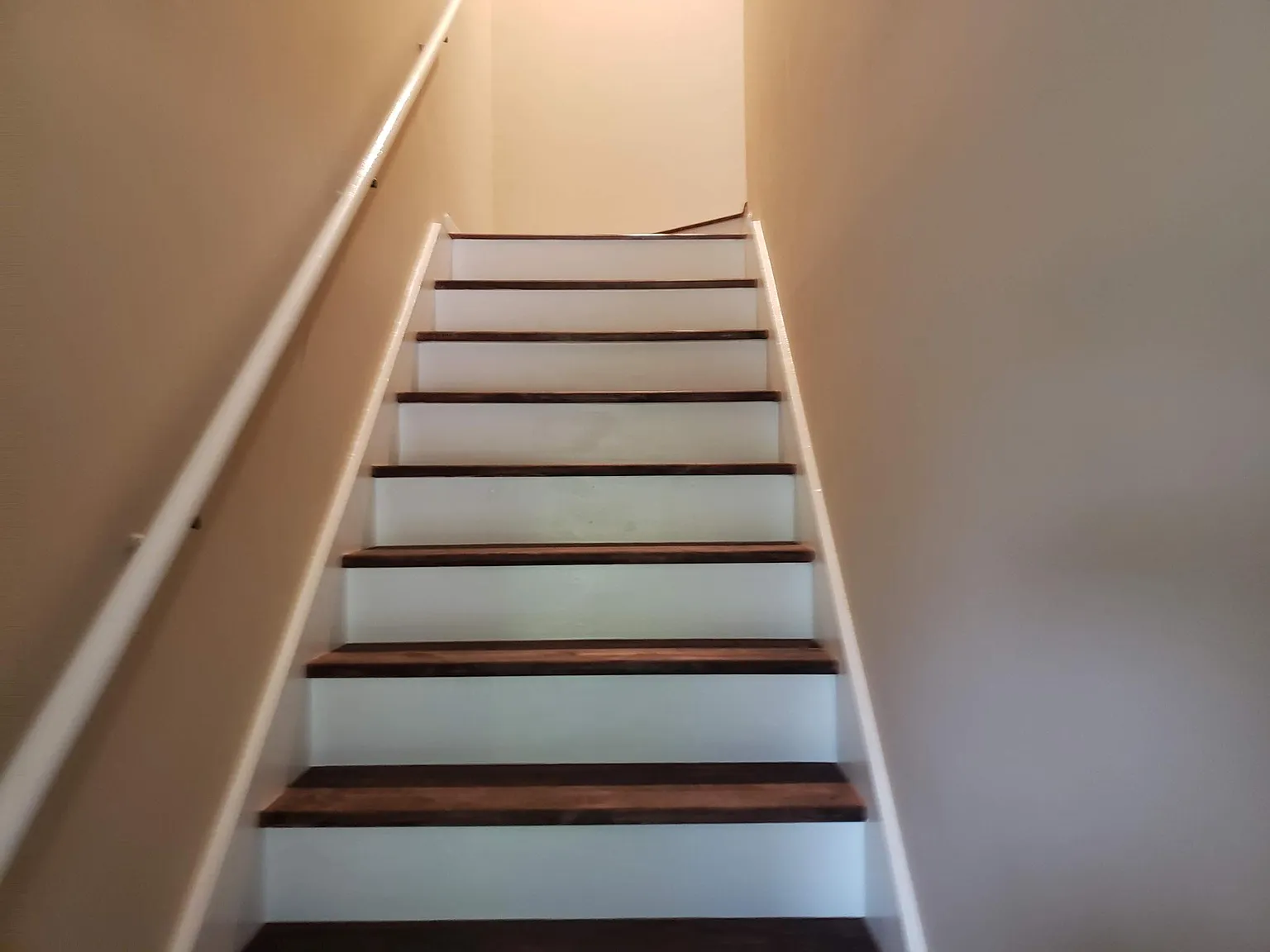 1833 Venus Ln — Photo 2
