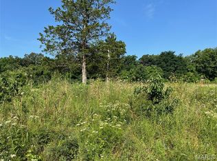 11870 E State Hwy E, Cadet, MO 63630