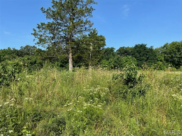 11870 E State Hwy E, Cadet, MO 63630