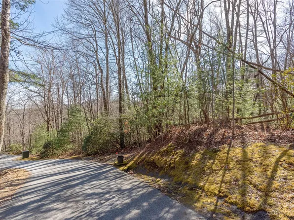 35 Trillium Ct, Sapphire, NC 28774