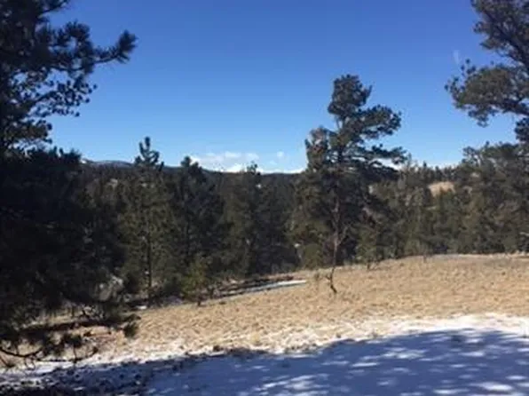 561 Aspen Cir, Guffey, CO 80820