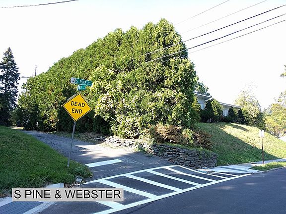 S PINE & WEBSTER