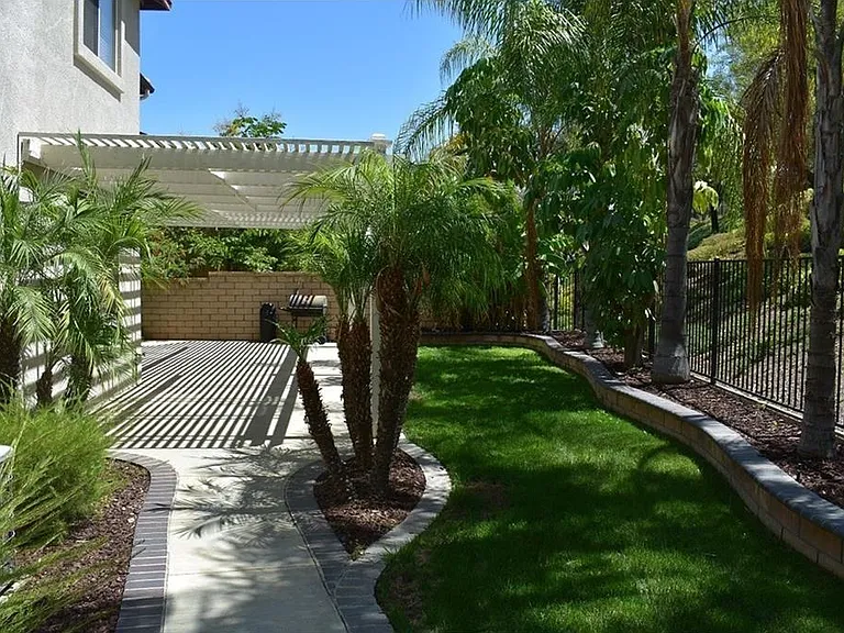 Back yard