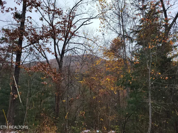 LOT 21 Hickory Tree St, Sevierville, TN 37876