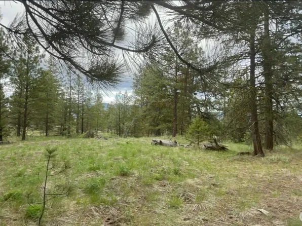 0 FS 3010 Road, Tonasket, WA 98855