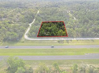 17496 Nicasio Jay Ave #2, Brooksville, FL 34614