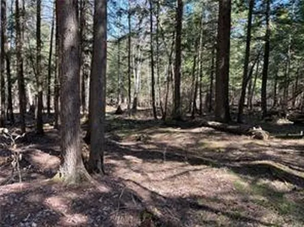 Big Woods Road, Harris, NY 12742