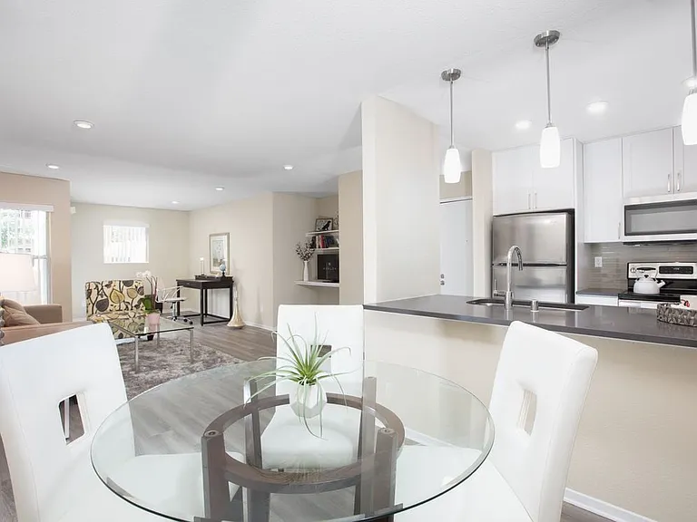 Modern Collection Living Dining Area With Hard Surface Flooring