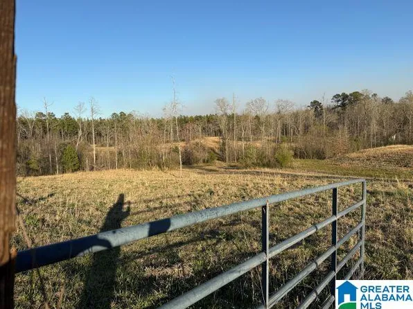 2 Salser Ln Lot 2, Columbiana, AL 35051