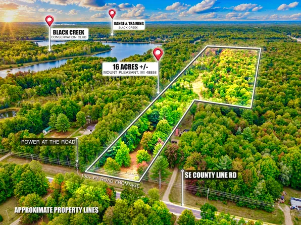 0 SE County Line Rd, Mount Pleasant, MI 48858