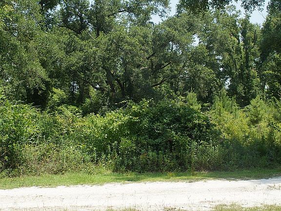 5th image of 4038 Gillette Ln