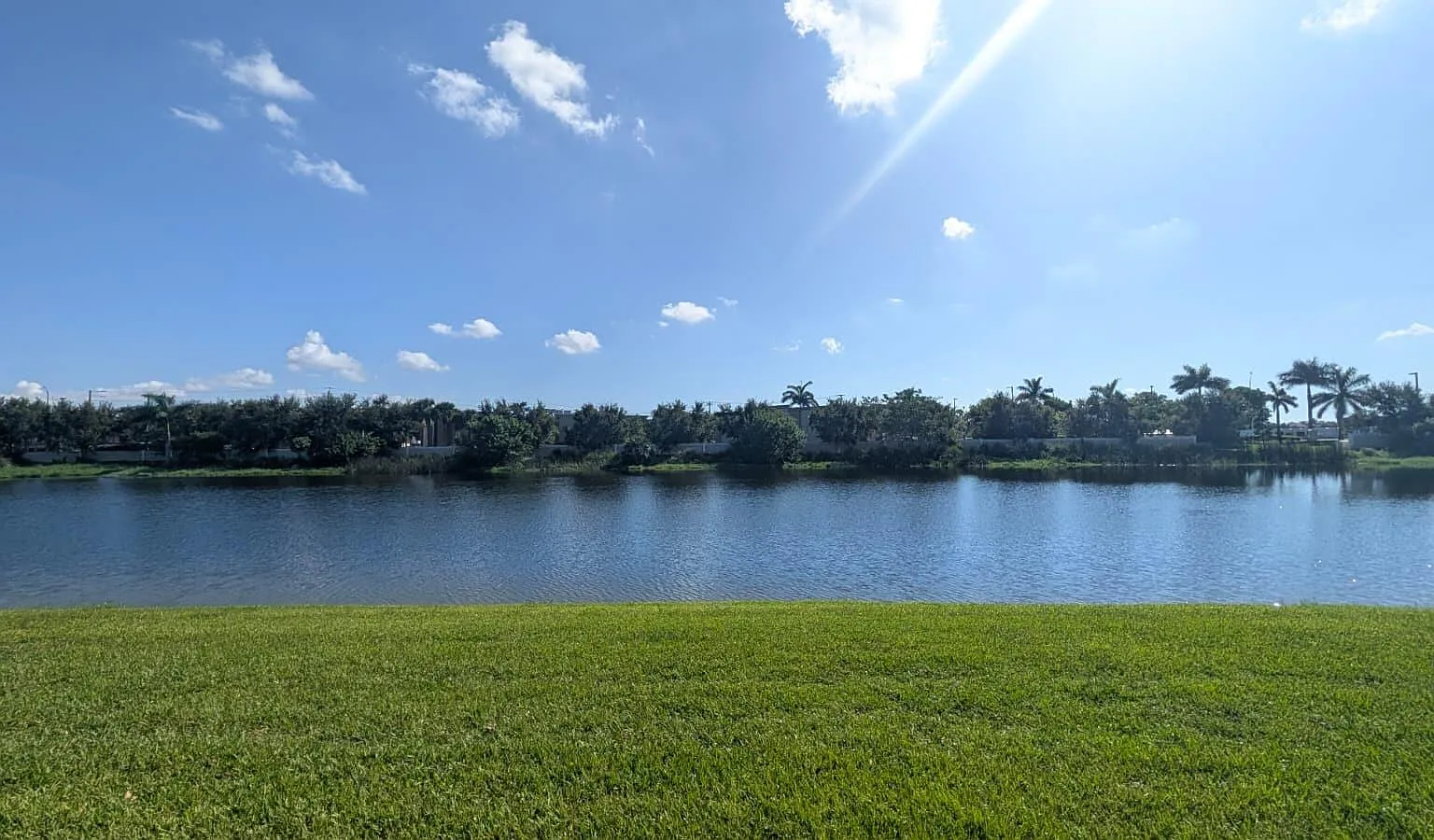 3 bed, 3.0 bath, 1770 sqft, $3,900 — Photo 3