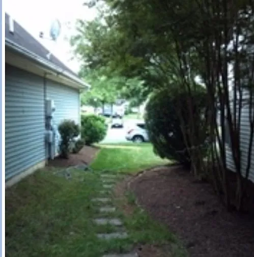 Side yard