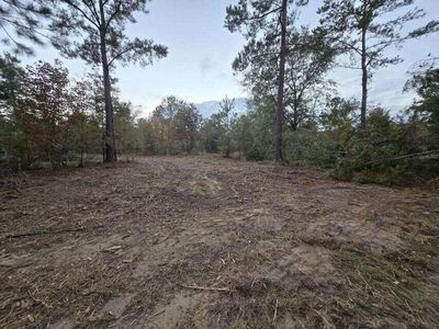 5a Oyster Trail, Williston, SC, 29853